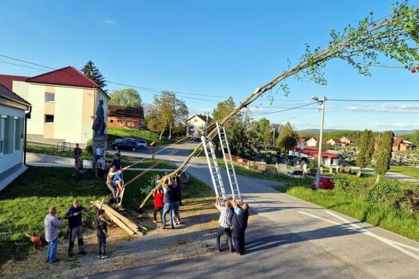 Postavljanje majpana u Šibovcu, 01.05.2023. Postavljanje majpana u Šibovcu, 01.05.2023.