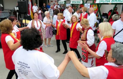 IMG_2253 IMG_2253