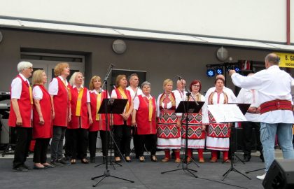 IMG_2421 IMG_2421