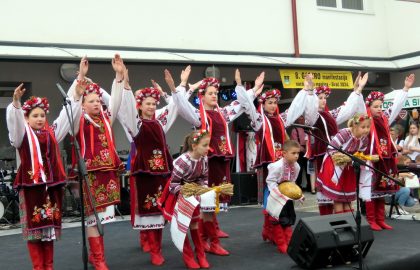 IMG_2524 IMG_2524