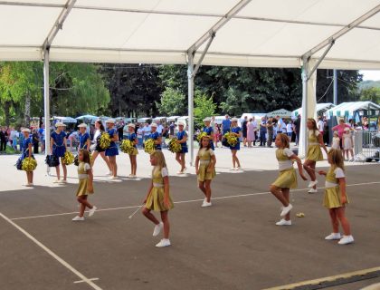 IMG_3317 IMG_3317