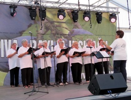 IMG_3558 IMG_3558