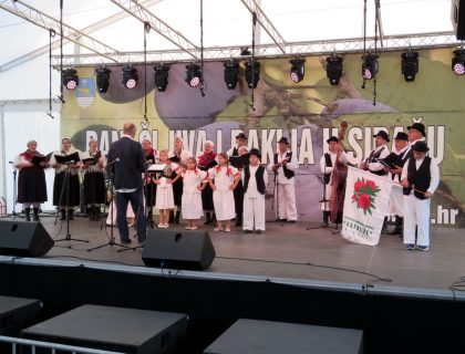 IMG_3582 IMG_3582