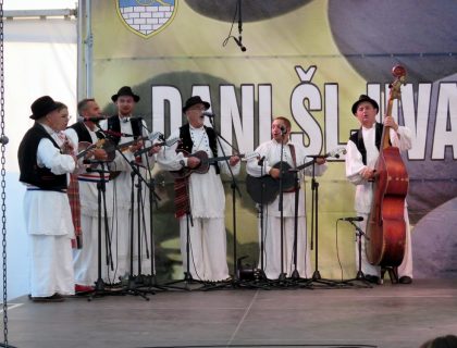 IMG_3601 IMG_3601